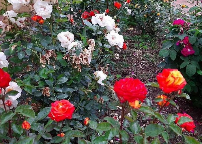 Rozmaring Vendeghaz アパート